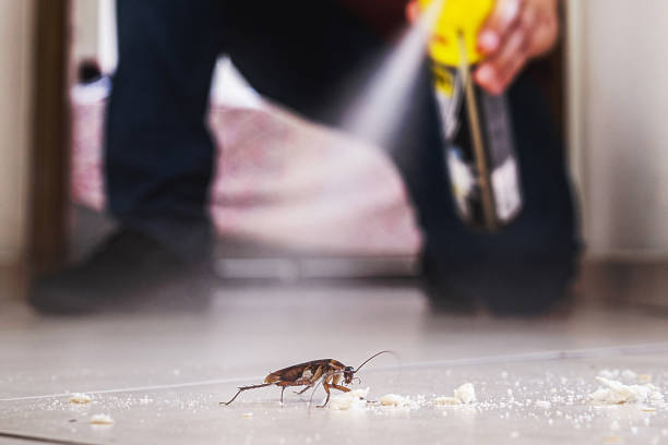 Professional Pest Control in Durand, WI